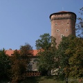 Wawel (20060914 0254)